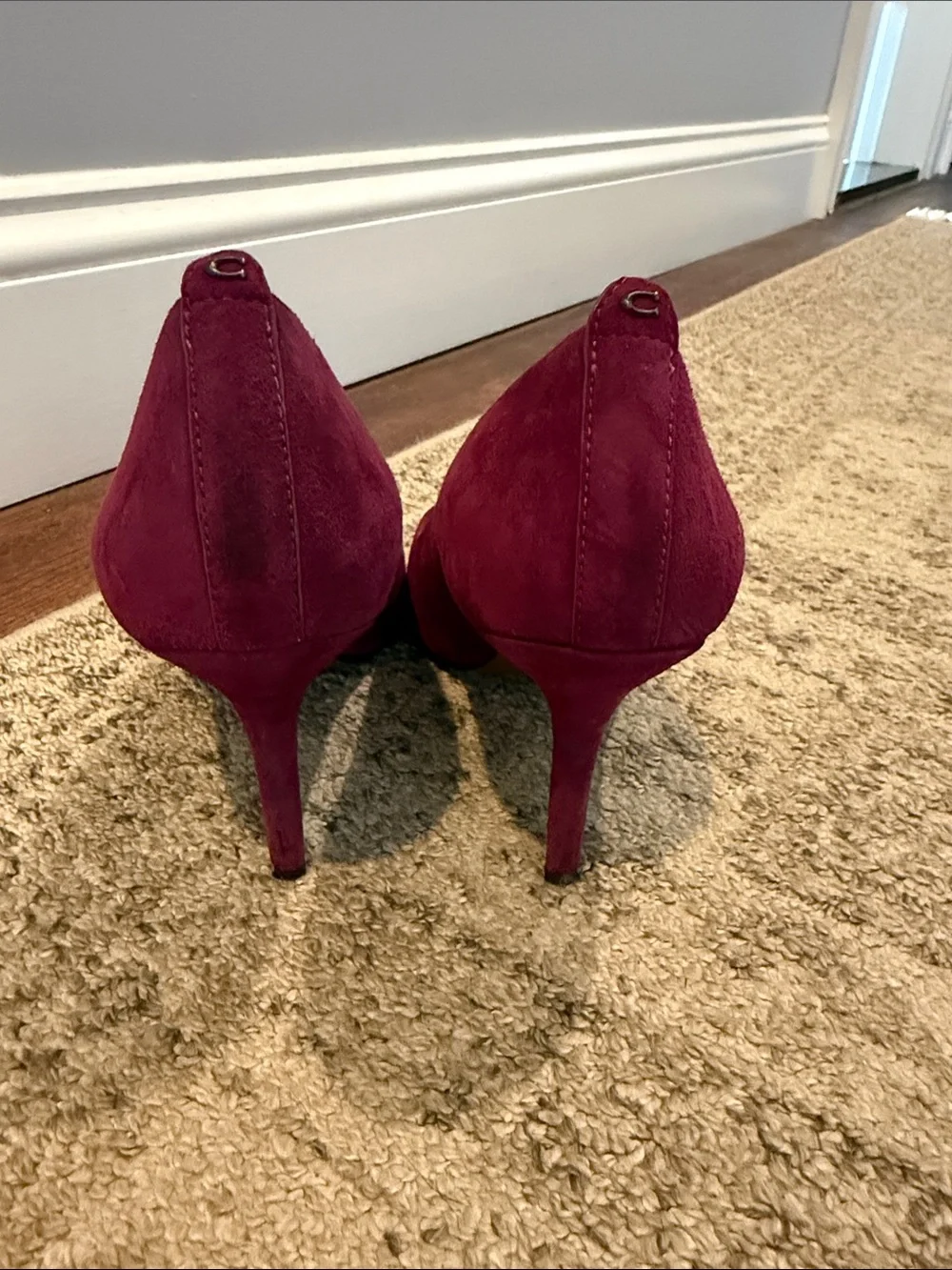 Coach Wine Suede Pointed-Toe Stiletto Pumps